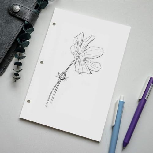(5-Pack) A5 Filler Paper, 3 Hole Planner Refills, Organizer, Loose-leaf Binder Paper, Total 500 Sheets/1000 Pages, 100gsm, Blank, White Paper, 5.8 x 8.2 Inch, 3 Hole Filler Paper - size: 500 Sheets