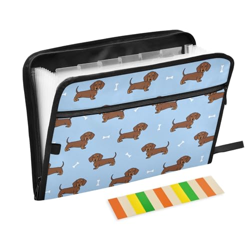 Dachshund Dog Cartoon File Folders,Plastic Folders with 13 Pockets,Expandable File Folder for Documents School Students Office,Aesthetic Folder with Labels A4 Letter Size - color: Multicolor 12