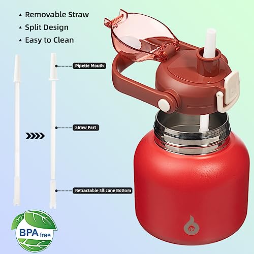 BJPKPK Insulated Water Bottles with Straw, 20 oz Cute Water Bottles with Handle, BPA Free Stainless Steel Metal Jug, Easy Carry Flasks for Men & Women, Red - color: 20 ozRed, size: 20 Ounces