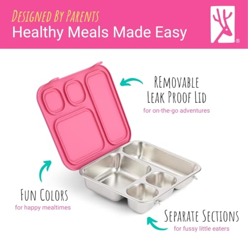 Elk and Friends Kids Stainless Steel Bento Box with Silicone Lid | Leak-proof | Toddler Lunch Container | 4 Compartments | Dishwasher Safe - color: Green