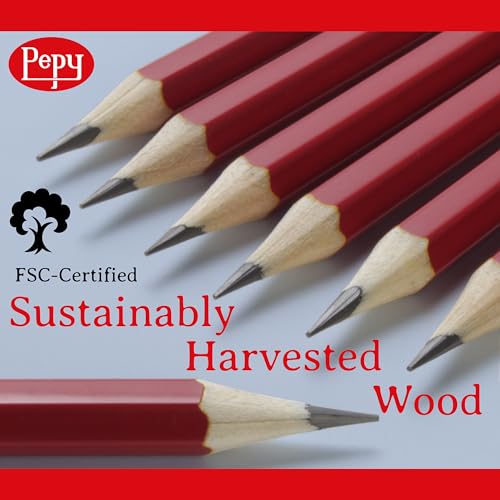 Pepy Graphite Professional Drawing Pencils - Set of 12 HB Pre-Sharpened Black Lead Pencils; Perfect for Drawing, Sketching and Shading, Graphic and Fine Art - style: Set of 12 - HB