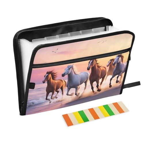 Expanding File Folder Beach Horse Accordion File Organizer 13 Pockets Document Organizer with Zipper Labels A4 Letter Office Storage - color: Multi30