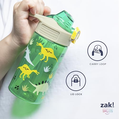 Zak Designs Disney Frozen Sage Kids Water Bottle For School or Travel, 16oz Durable Plastic Water Bottle With Straw, Handle, and Leak-Proof, Pop-Up Spout Cover, 2-Pack Set (Anna & Elsa) - color: Disney Frozen (Anna & Elsa)