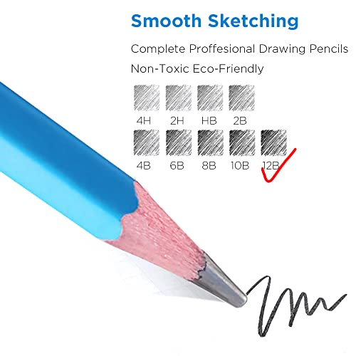 Sketch Pencils for Drawing 12B, 12pcs Softest and Darkest Professional Graphite Pencils, Art Drawing Pencils for Shading for Artists & Beginners - style: 12B 12pcs