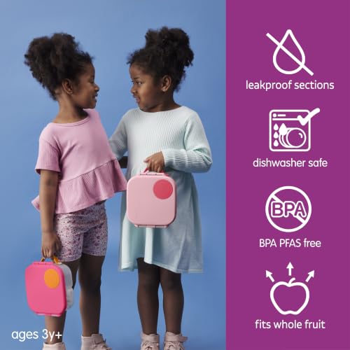 b.box Mini Lunch Box Kids | 4.25 Cup Leak Proof Bento Box for Kids Ages 3+ | 3 Compartment Snack Containers, School Lunch Container, Dishwasher Safe, BPA-Free, PFAS-Free - Flamingo Fizz - color: Flamingo Fizz, size: 1-pack