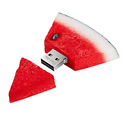 USB Flash Drive, 8GB / 16GB / 32GB Novelty Cute Cartoon USB Memory Stick Date Storage Pendrive Thumb Drives for Kids Children Collegue Student (16GB, Watermelon) - color: Watermelon, size: 16GB