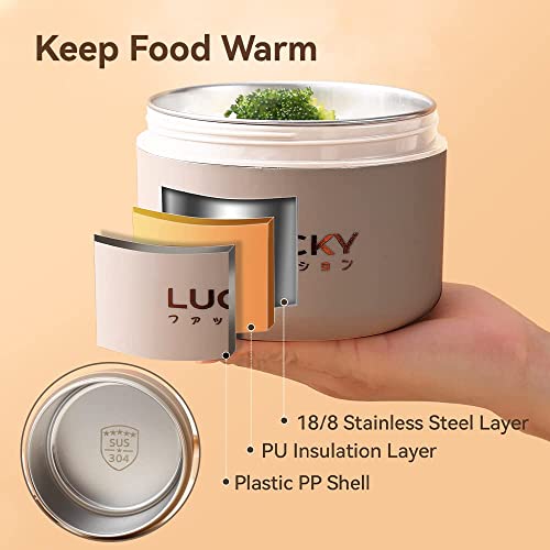 Portable Insulated Lunch Container set, Bento Box Adult Lunch Box Set with Insulated Lunch Bag, 4 Separate Stackable Thermal Food Lunch Container for Adult, Brown - color: 4 Tier-Brown