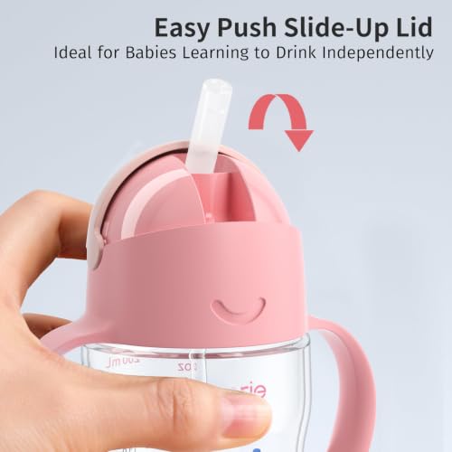 Evorie Tritan Weighted Straw Cup Baby Training Cup, Spill Proof, 7 Oz, 6M+ | BPA & BPS-Free, First learning cup, 360° drinking, Dishwasher safe, Durable Sippy Cup, Pink Fairy Tale - color: Pink Fairy Tale