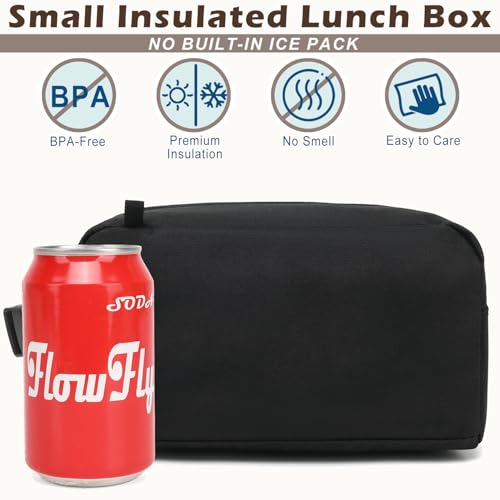 FlowFly Small Insulated Lunch box Portable Soft Bag Mini Cooler Thermal Meal Tote Kit with Buckle for Work, BlackWithBuckle - color: BlackWithBuckle