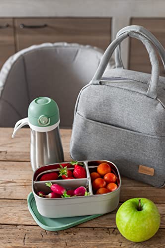 Beaba Stainless Steel Lunch Box, Kids Lunch Box with Silicone Lid, Bento Style Food Containers, Removable Silicone Dividers Make 1-3 Compartments, Sage - color: Sage