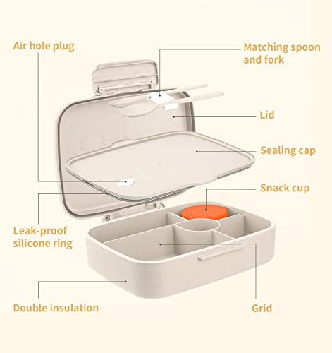 Bento Lunch Box, 5 Compartments Lunch Container for Kids/Adults with Snack cup, Wheat Fiber Eco-Friendly Double Insulated Boxes, Dishwasher and Microwave Safe, BPA-Free (White) - color: White