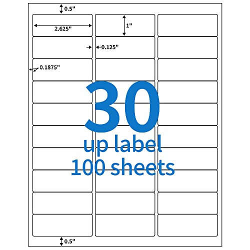 BESTEASY 30-up 100 Sheets 1" X 2-5/8" Address Shipping Labels for Laser and Inkjet Printers, FBA Product Labels (3000 Labels) - size: 100 sheets, style: 30 up-1"x2-5/8"