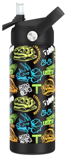 Boys Dinosaur Fossil Water Bottle for School，Kids 18 oz Insulated Stainless Steel Cup with Straw, Double-Wall Vacuum Leakproof - color: C13.Dinosaur-Fossil