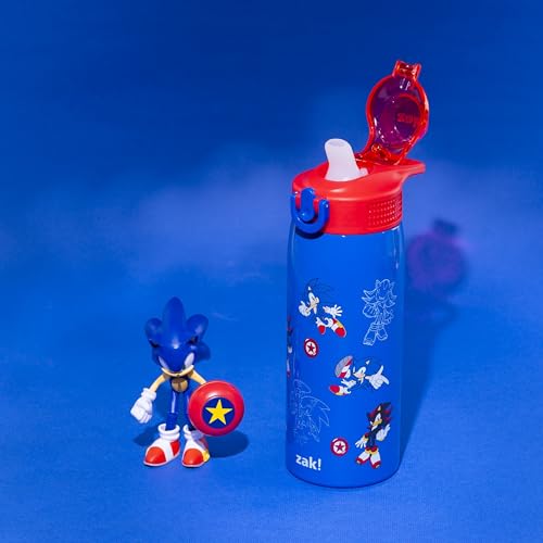 Zak Designs Sonic the Hedgehog Sage 19oz Leak-Proof Straw Kids Water Bottle | BPA Free, Insulated Stainless Steel, Cupholder Friendly, Dishwasher Safe, Lid Lock, Handle, For School, Home, Travel - color: Sonic the Hedgehog (Sage)