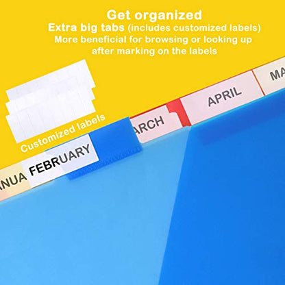 WOT I Plastic 8-Tab Dividers with Two Pockets, Multicolor, Set of 2, 16 Pieces - color: Translucent Blue,pink,red,yellow - Double-side Pockets, size: 16 Tabs