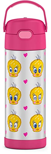 THERMOS FUNTAINER Water Bottle with Spout, 16oz, Looney Toons | Kids Stainless Steel Insulated Water Bottle, Keeps Drinks Cold Longer for School & Play, BPA-Free - color: Looney Tunes, size: 16 Ounces
