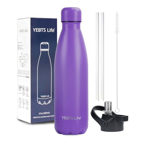 Insulated Water Bottle, 17oz Stainless Steel Water Bottles with straw lid, Metal Sports Water Bottles for Boys,Girls, Double Wall Vacuum BPA-Free Flask for School, Sports (Purple) - color: 1 Pack-Purple, size: 17 Ounces