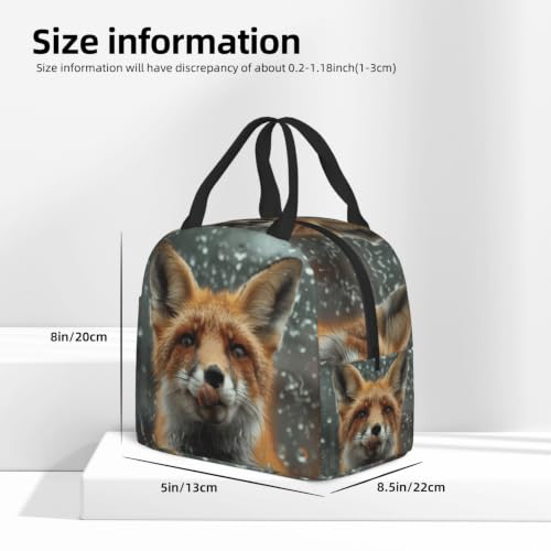 Funny 3d Fox Lunch Box Insulated Meal Bag Lunch Bag Reusable Snack Bag Food Container For Boys Girls Men Women School Work Travel Picnic - color: Funny Fox