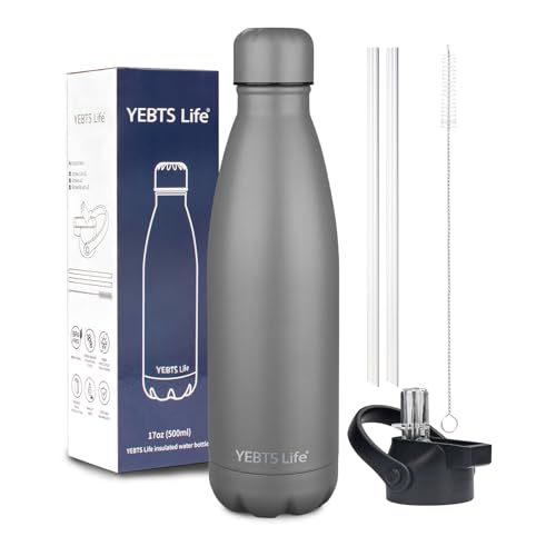 Insulated Water Bottle,17oz Stainless Steel Water Bottles with straw lid,Metal Sports Thermos Water Bottles for Boys,Girls,Double Wall Vacuum BPA-Free Flask for School, Sports (Grey) - color: 1 Pack-Grey, size: 17 Ounces