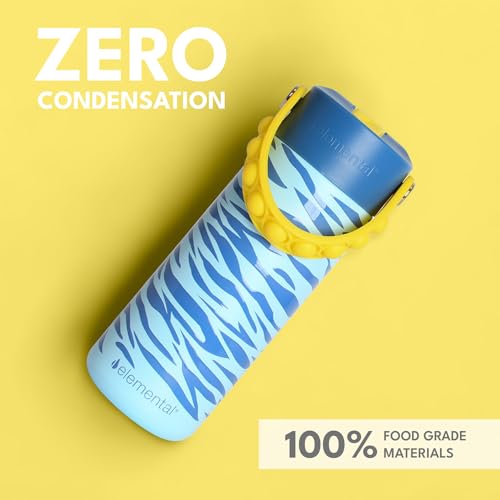Elemental Insulated Kids Water Bottle, Stainless Steel Water Bottle with Straw Lid & Pop-It Handle, Leak-Proof Water Bottles for School, Boys or Girls, Travelling and Sports, 18oz - Spirit Tiger - color: Spirit Tiger
