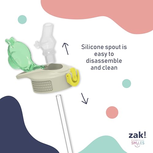 Zak Designs SpongeBob SquarePants Sage Kids Water Bottle For School or Travel, 19oz Stainless Steel Water Bottle With Straw, Handle, and Leak-Proof, Pop-Up Spout Cover (SpongeBob and Patrick) - color: SpongeBob and Patrick