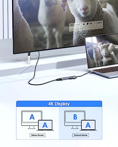 LENTION 6-in-1 USB C Hub, 4K@60Hz HDMI, 100W PD, 3 USB 3.0, USB-C Data | Ideal for Work & Study, Stable Driver 3.0 Adapter, Compatible with macOS, iOS/iPadOS, Windows & ChromeOS (CE35p, Space Gray) - color: Space Gray