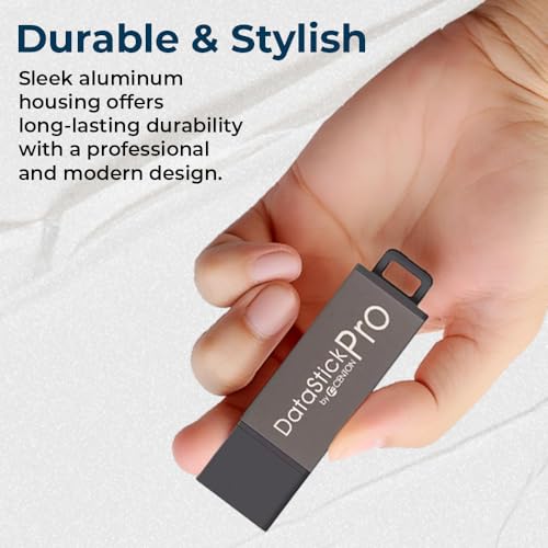 Centon Electronics DataStick Pro USB 2.0 Flash Drive, 2 GB, 100 USB Flash Drives, 100 Bulk Pack, Grey - style: 2 GB (Pack of 100)