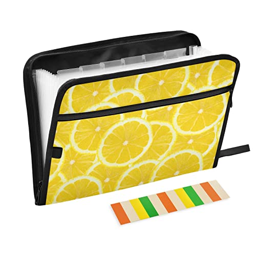 Expanding File Folder - 13 Pocket Accordion File Folders with Sticky Labels, A4 Letter Size Paper Document Organizer with Zipper Closure for Office School Boys Girls,Lemon - color: Lemon