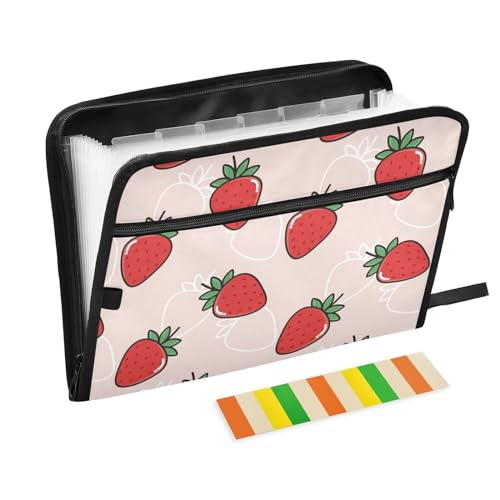 Doodle Red Strawberry File Folders,Plastic Folders with 13 Pockets,Expandable File Folder for Documents School Students Office,Aesthetic Folder with Labels A4 Letter Size - color: Multicolor 13