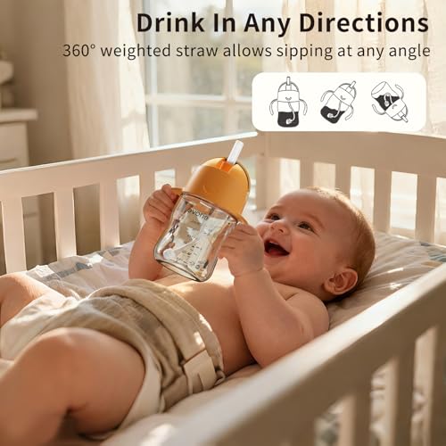 Evorie Tritan Weighted Straw Cup Baby Training Cup, Spill Proof, 7 Oz, 6M+ | BPA & BPS-Free, First learning cup, 360° drinking, Dishwasher safe, Durable Sippy Cup, Apricot - color: Apricot