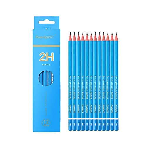 Sketch Pencils for Drawing 2H, 12pcs Professional Art Drawing Pencils for Shading, Sketching & Doodling | Graphite Pencil for Artists & Beginners - style: 2H 12pcs