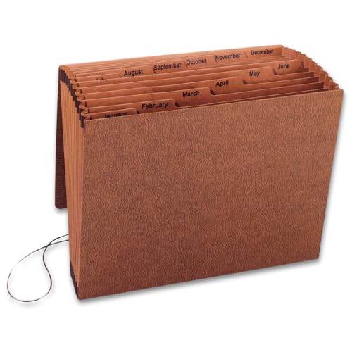 1InTheOffice Accordion File Organizer, Expandable File Folder Organizer, 12 Pocket Accordion Folder, Monthly Index, Elastic Cord, 1/6-Cut Tabs, Letter Size, Red Rope