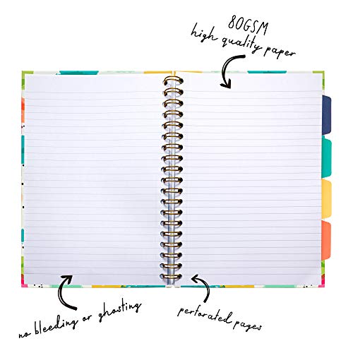 Pukka Pad, Carpe Diem 5-Subject Double Spiral Bound Notebook 12-Pack with Repositionable Dividers - 200 Pages of 80GSM Paper with Perforated Edges – Color Wash, B5 10 X 7in - color: Color Wash, style: Pack of 12
