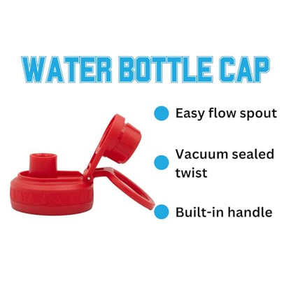 Northeastern Water Bottle - Double Walled Stainless Steel 24 oz Keeps Drinks Cold or Hot - color: Northeastern