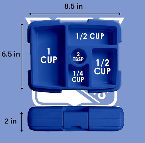 FOCO NHL Unisex-Adult Officially Licensed Team Color Stripe Primary Logo Hockey Leak Proof 5 Compartment Bento Lunch Box - New York Rangers - color: New York Rangers