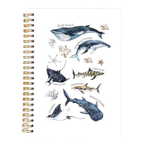 KAOWT Ocean Shark Notebook Journal, Whale Shark Gifts Office Supplies Notebooks for Note Taking, Marine Biology Ocean Journal, Beach Lover Gifts, Hardcover Spiral Notebook 5.5x8.3in - color: Summer notbook-shark