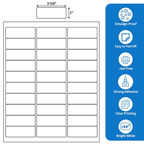 BESTEASY 30-up 100 Sheets 1" X 2-5/8" Address Shipping Labels for Laser and Inkjet Printers, FBA Product Labels (3000 Labels) - size: 100 sheets, style: 30 up-1"x2-5/8"