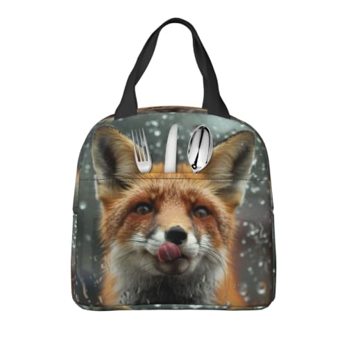 Funny 3d Fox Lunch Box Insulated Meal Bag Lunch Bag Reusable Snack Bag Food Container For Boys Girls Men Women School Work Travel Picnic - color: Funny Fox