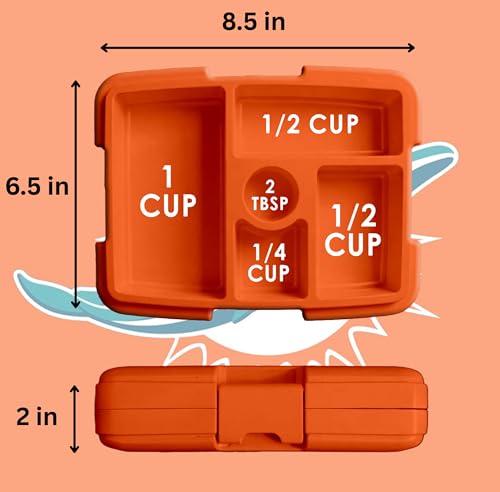 FOCO NFL Unisex-Adult Officially Licensed 2-Tone Big Logo Team Color Football Leak Proof 5 Compartment Bento Lunch Box - Miami Dolphins - color: Miami Dolphins