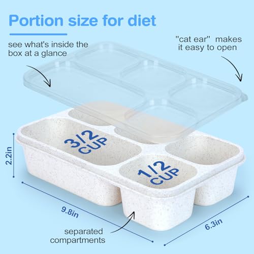 Rinwoc Bento Box Adult [Portion Size], 3 Pack Snack Containers with 5 Compartments for Meal Prep & On-the-Go [Work, Travel], Lunchable Container Reusable and BPA-Free - size: Large