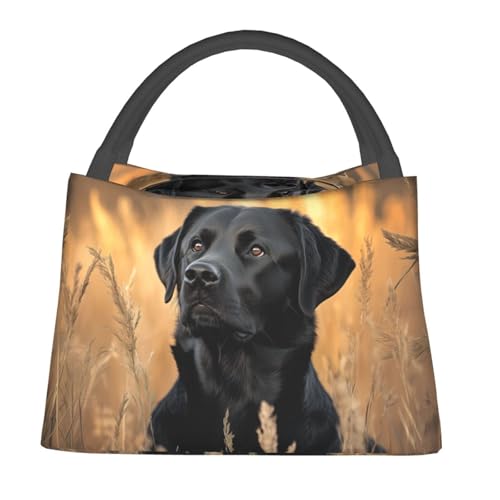 Labrador Dog Reusable Lunch Box, Realistic Puppy Lunchbox for Kids Adults, Insulated Lunchbag, 11in*6.3in*6.7in, Gifts Makeup Bag, Portable Handbag for School Picnic Work Travel Beach or Hiking - color: Labrador