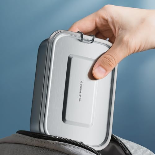 G.a HOMEFAVOR Stainless Steel Bento Lunch Box - Leak-Proof Metal Bento Box, Large Food Container with Lock Clips, Snack Container, Dishwasher Safe, 800 ml/27 oz - size: 800 ml - No Compartments