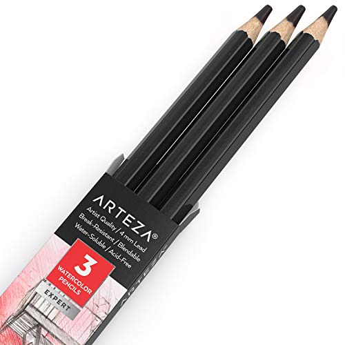 Arteza Professional Watercolor Pencils, Pack of 3, A016 Onyx Black, Water-Soluble Pencils for Coloring, Blending, Layering & Watercolor Techniques - color: A016 Onyx Black, size: 1 Count (Pack of 3)