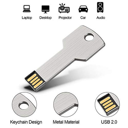 RAOYI 10 Pack 2GB USB Flash Drive USB 2.0 Metal Key Shape Memory Stick Thumb Drive Pen Drive-Silver - color: Silver, size: 2GB