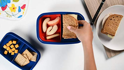 Ultimate Bento Box - Lunch Box for Kids & Adults with Removable Ice Pack - Leakproof, Multi-Compartment Food Container with Removable Containers - Microwave & Dishwasher Safe (Red, Blue, Red) - color: Red, Blue, Red