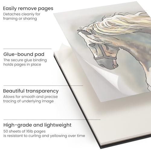 ARTEZA Tracing & Calligraphy Paper Combo, 9x12 Inch – 2-Pack with 50 Calligraphy Sheets and 55 Tracing Sheets for Drawing, Lettering & Drafting