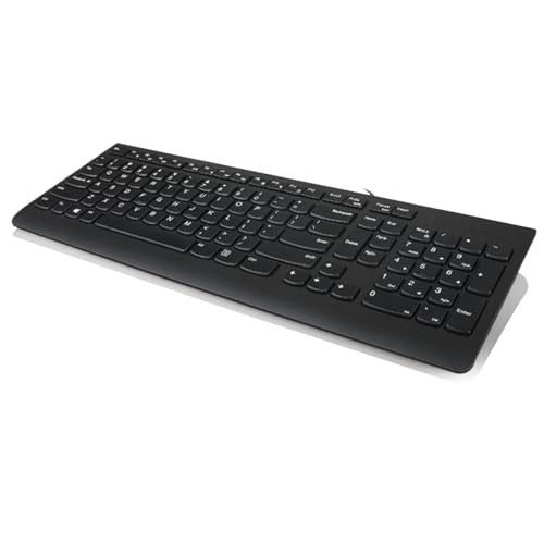 Lenovo 300 USB Keyboard, Wired, Adjustable Tilt, Ergonomic, Windows 7/8/10, GX30M39655, Black - style: Keyboard