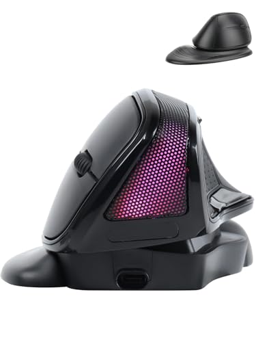 Wireless Mouse Large Angle Adjustable Upright Carpal Tunnel Ergo Optical Mice for PC Laptop Computer Macbook Gift,3600 DPI,Removable Palm Rest,RGB Light,2.4GHz Wireless Mouse Cute Hamster Shape