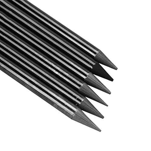PENINSULA LOVE 6Pcs Woodless Graphite Pencils HB 2B 4B 6B 8B EE Artist Professional Drawing Pencil Set for Sketching Shading Writing for Adult Artist Hobbyist Beginner