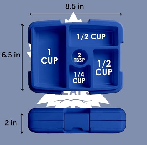 FOCO NHL Unisex-Adult Officially Licensed Team Color Stripe Primary Logo Hockey Leak Proof 5 Compartment Bento Lunch Box - Toronto Maple Leafs - color: Toronto Maple Leafs